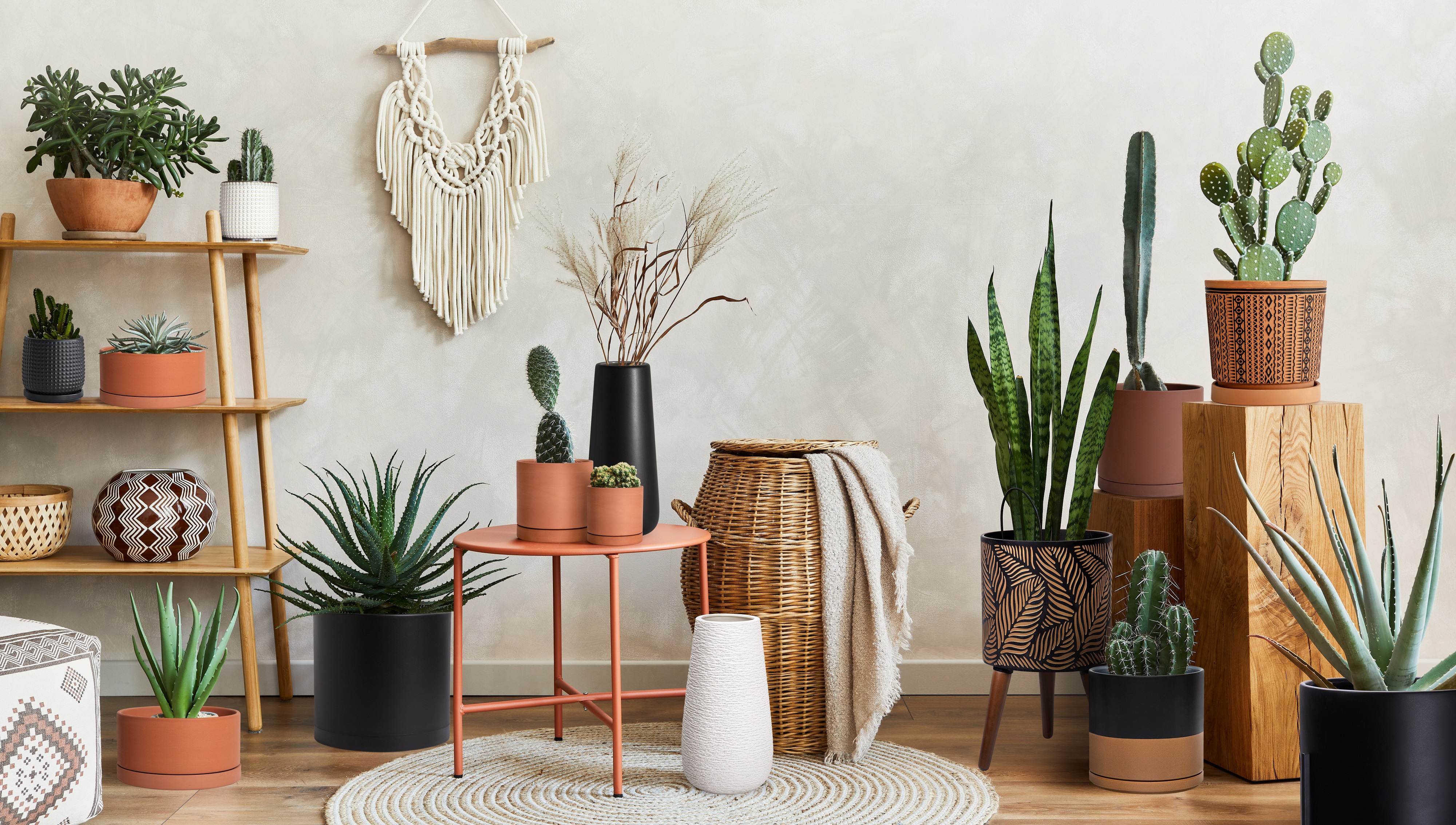 Fully Enclosed Space Capsule Cat Litter Box