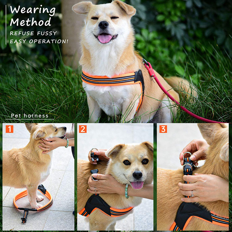 Breathable Padded Pet Harness with 2 Adjustable Bottons3