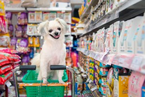 Many types of pet food and products in pet shop